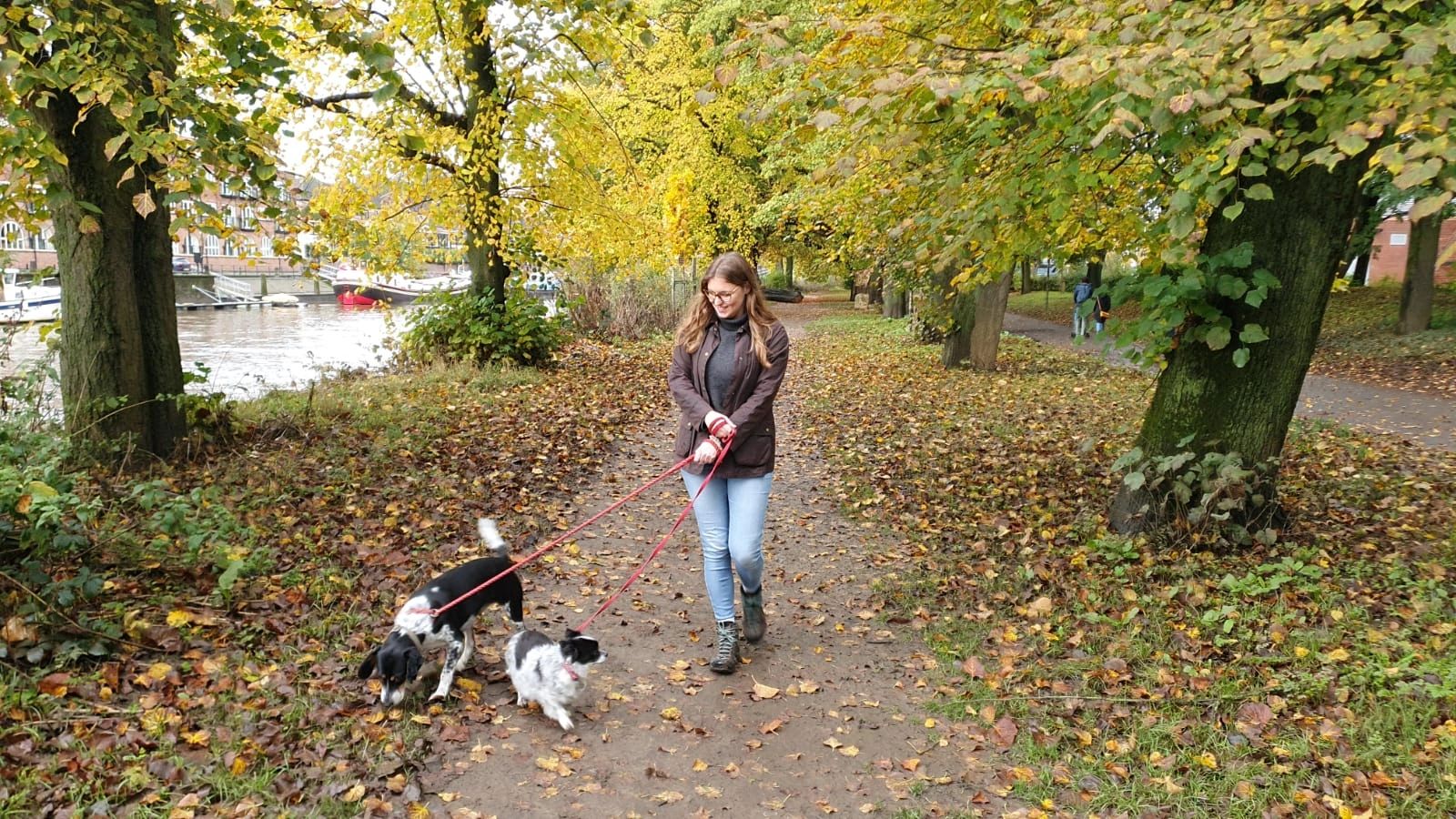 paws-with-ella-pet-services